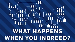 What Happens When You Inbreed? | Earth Science