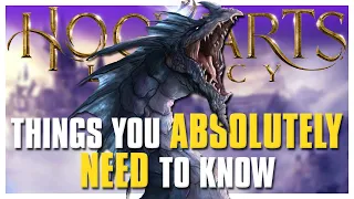 Hogwarts Legacy - Things you ABSOLUTELY NEED to know | Tips & Tricks