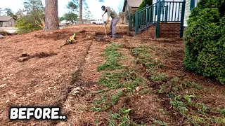 WE FOUND this hidden WALKWAY and UNCOVERED it from YEARS of DIRT!