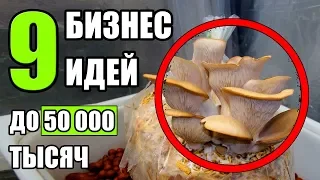 Реальные бизнес идеи до 50 тысяч! Топ-9 Бизнес идей с минимальными вложениями! Бизнес идеи!