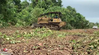 BULLDOZER CAT D6D CLEARING LAND