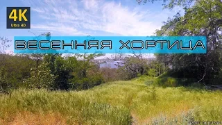 4K - Пейзажи весенней Хортицы - видеокартина для расслабления (Khortytsya)