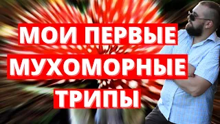 Как сделать мухоморный трип| Как идти в мухоморный трип| Мои первые трипы