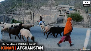 Shinkorak Village | Kunar Afghanistan | Natural Beauty | 2021 | 4K