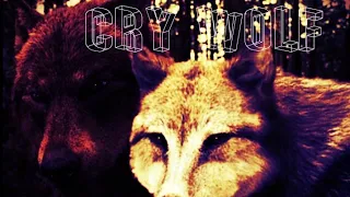 Twilight wolves and Wolf blood ~ Cry wolf