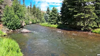 INSANE Dry Fly Bite & Truck Camping next to this STUNNING stream - part 14