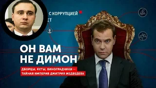 Он вам не Димон: продолжение последовало