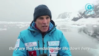 Один километр ниже нуля - Льюис Пью спасает Антарктику