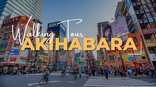 [Akihabara Walking tour] Tokyo Electric Town 4K | 2024