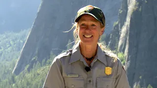 Yosemite Peregrines: A Story of Hope