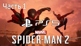 Человек-Паук 2 Прохождение Часть 1 / Marvel Spider-Man 2 PS5