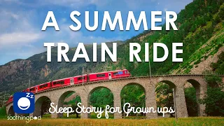Bedtime Sleep Stories | 🚂 A Summer Train Ride 🌞 | Edutainment Story | Sleep Story for Grown Ups
