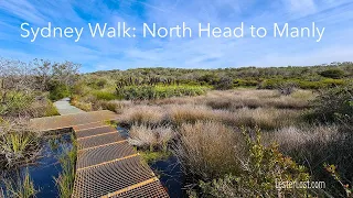 Sydney Walks: North Head Manly Walk