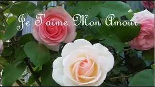 Je T'aime Mon Amour, Claudia Jung & Richard Clayderman