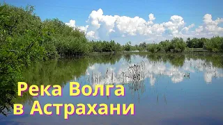 Как изменился уровень воды в р.Волга за 7 дней!