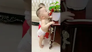 Cute🍓👶