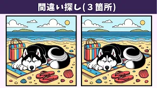 Find 3 Differences | Illustration Version #1340