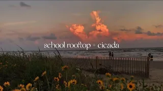 school rooftop + cicada