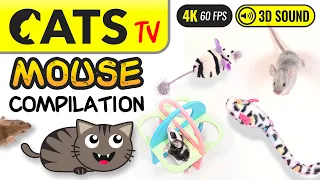 GAME FOR CATS - The Best MOUSE Compilation 🐭🙀  4K 60FPS [Cats TV]