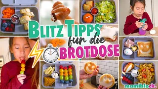 Schnelle ⚡️- Tipps für die Brotdose | Frühstück für Kita und Schule | Brotdosenvergleich | mamiblock