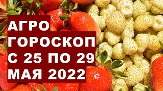 Агрогороскоп з 25 по 29 травня 2022 року