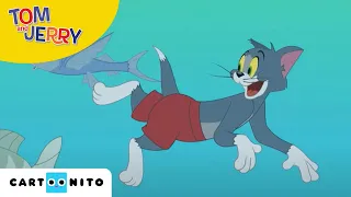 Tom i Jerry Show | Wędkowanie | Cartoonito
