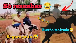 🤣Só resenhas na montaria😂 os peão mais abeia do Brasil Parte-2 🐝