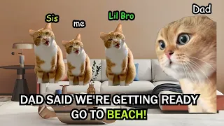 Cat Memes: Road Trip COMPILATION Part 1-4