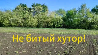 Не битый хутор! Мы его нашли!