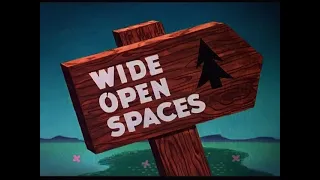 Donald Duck - Wide open spaces (Reversed)