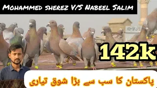 Mohammed Sherooz V/S Nabeel Salam 200 + 200 Ghagre kabootaron ki ladaiyan ki Taliyah | Gola Kabootar