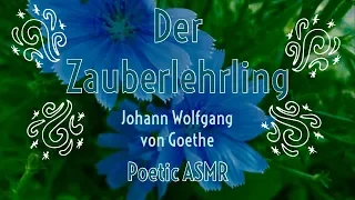 🧙‍♂️ Poetic ASMR - Der Zauberlehrling (Whispered German poem with echoed effect) 🧙‍♂️