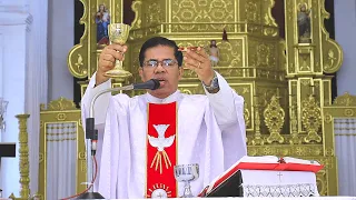 Second Week of Easter Saturday - 30th Apr 2022 7:00 AM - Fr. Peter Fernandes