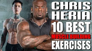 CHRIS HERIA 10 BEST MUSCLE BUILDING EXERCISES | DO WE AGREE?