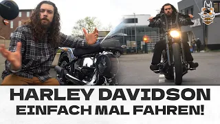 Diese HARLEY DAVIDSON Bikes kannst DU KOSTENLOS fahren!