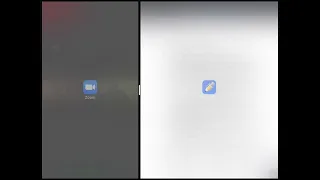 Using Zoom in Split Screen Mode (with Camera On)