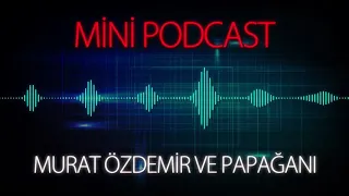 MP   Murat Özdemir ve Papağanı