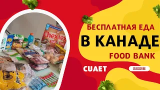 Получите бесплатную еду в Канаде |  Фудбанк в Канаде | Что дают?