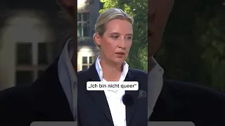 Alice Weidel NICHT queer?🤡 Die ZERSTÖRUNG der AfD #beziehung #aufklärung #afd #queer #viralvideo