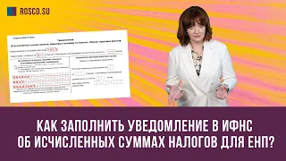 Как заполнить уведомление в ИФНС об исчисленных суммах налогов для ЕНП?