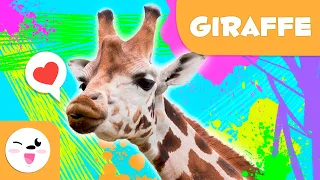 Giraffe 🦒 Animals for kids 🌳 Episode 7