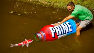 MEGA PRIME Bottle Catches Colorful Fish