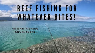 Reef Fishing For Whatever Bites! | MY FIRST KAGAMI! 🐟| Hawaii Fishing Adventures!