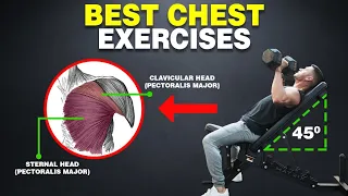 7 Best Chest Exercises for BIGGER PECS