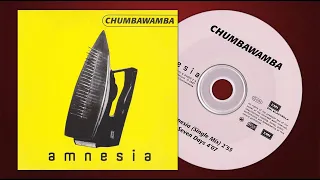 (1997) CHUMBAWAMBA - Amnesia (Single Mix)