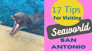 17 Tips for Visiting SeaWorld San Antonio with Kids
