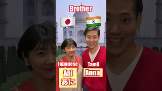 Japanese 🇯🇵 vs Tamil Indian 🇮🇳| Comparison