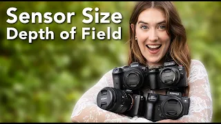 How Depth Of Field Changes With Sensor Size - Camera Comparison