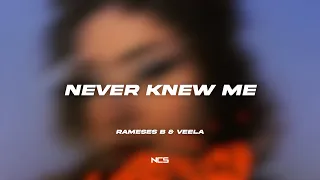 Rameses B & Veela - Never Knew Me [NCS Lyrics]