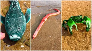 Fisherman Catching Seafood  🦑🦑🦑 Deep Sea Octopus | Tik Tok P43